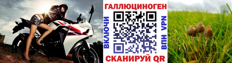 Галлюциногенные грибы мицелий  Купить  Отрадное 